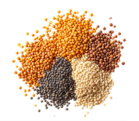 Grãos para o segmento agrícola